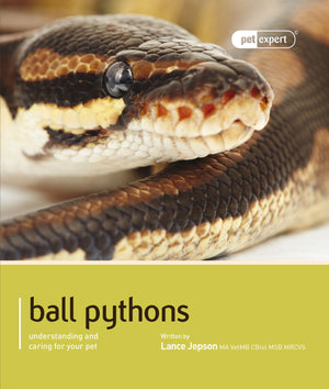 Ball Python (Royal Python) (Pet Expert),Used
