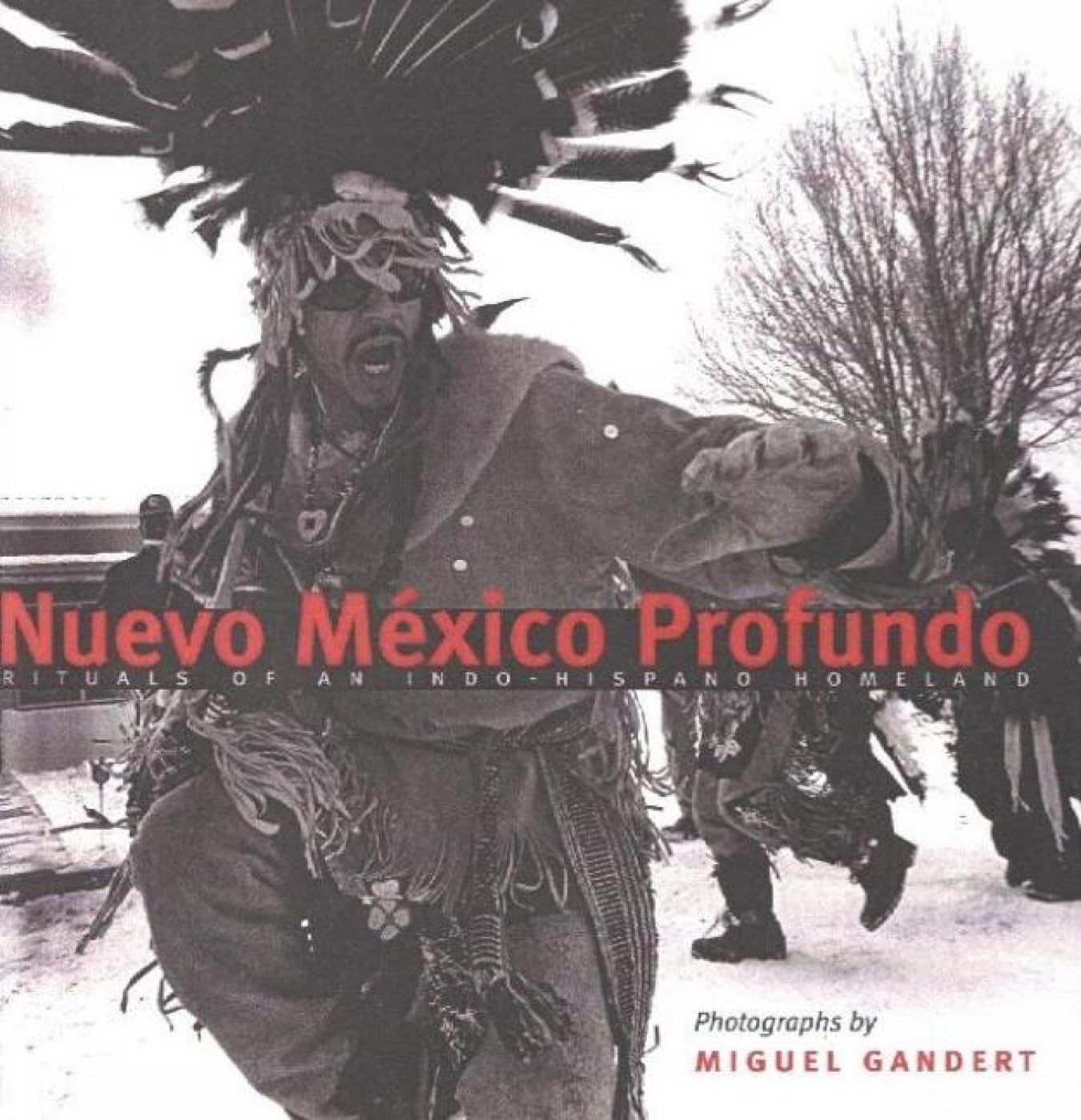 Nuevo Mxico Profundo: Rituals of an IndoHispano Homeland,New
