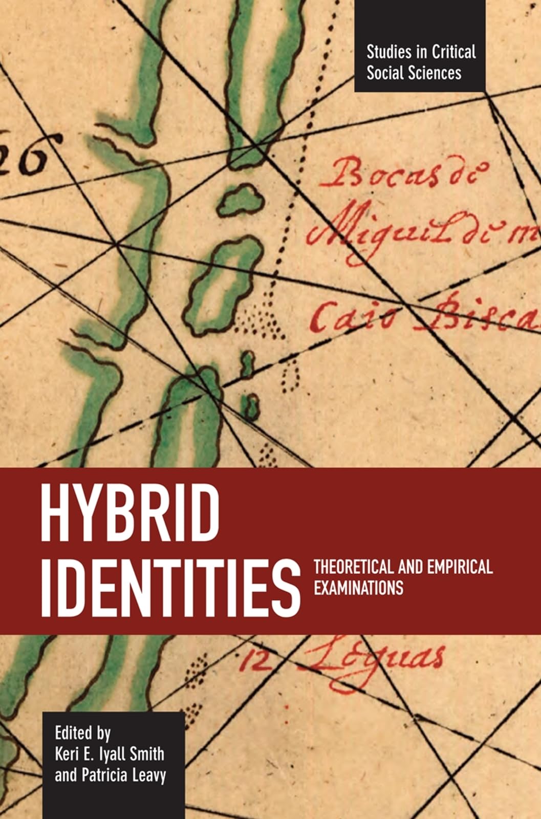 Hybrid Identities: Theoretical and Empirical Examinations (Studies in Critical Social Sciences),Used