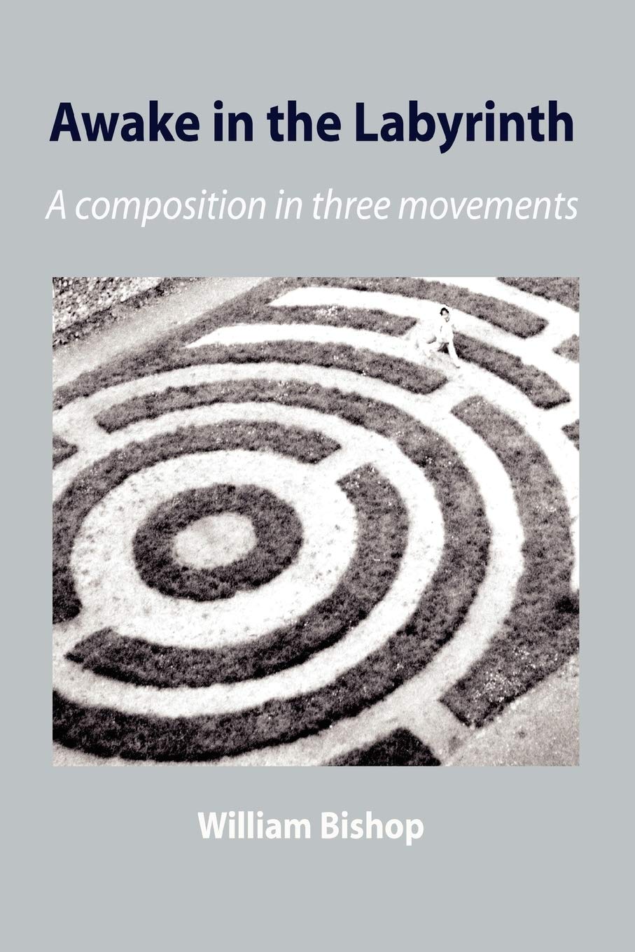 Awake In The Labyrinth,New