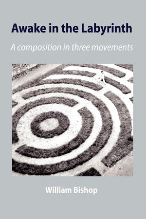Awake In The Labyrinth,Used
