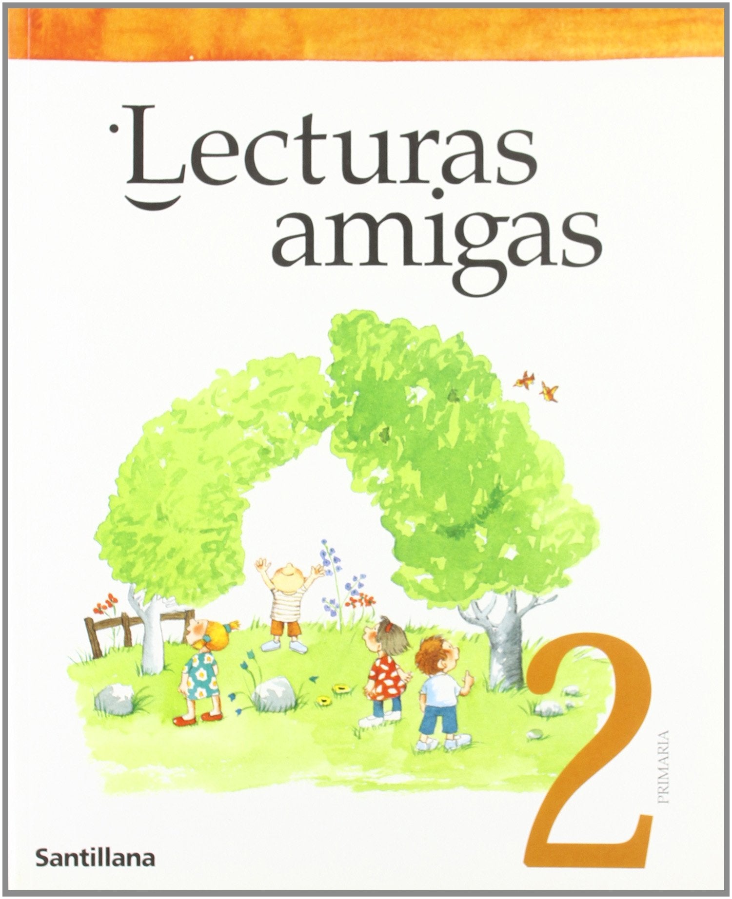 LECTURAS AMIGAS 2 PRIMARIA,Used
