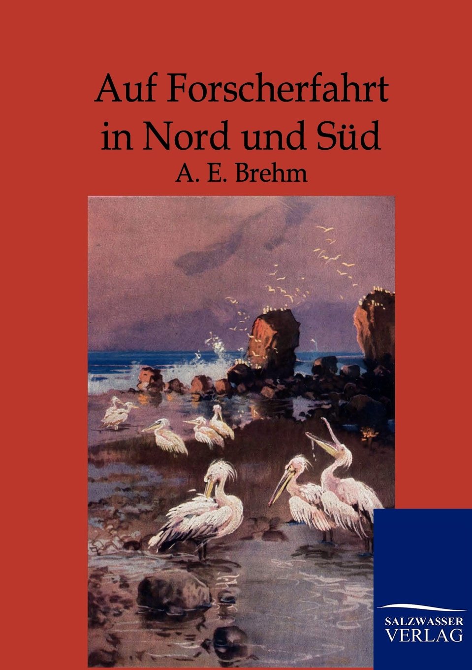 Auf Forscherfahrt in Nord und Sd (German Edition),Used