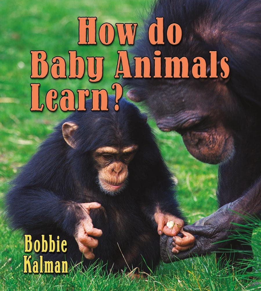 How Do Baby Animals Learn? (It's Fun to Learn About Baby Animals),Used
