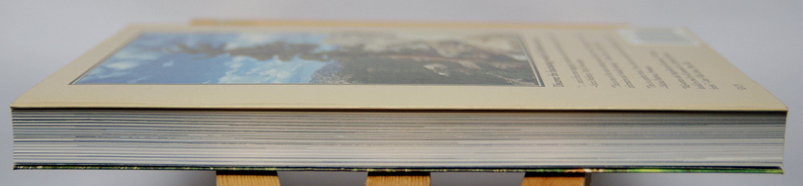 Conifers of California,New