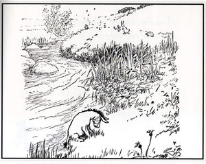 Eeyore's Gloomy Little Instruction Book (WinniethePooh),Used