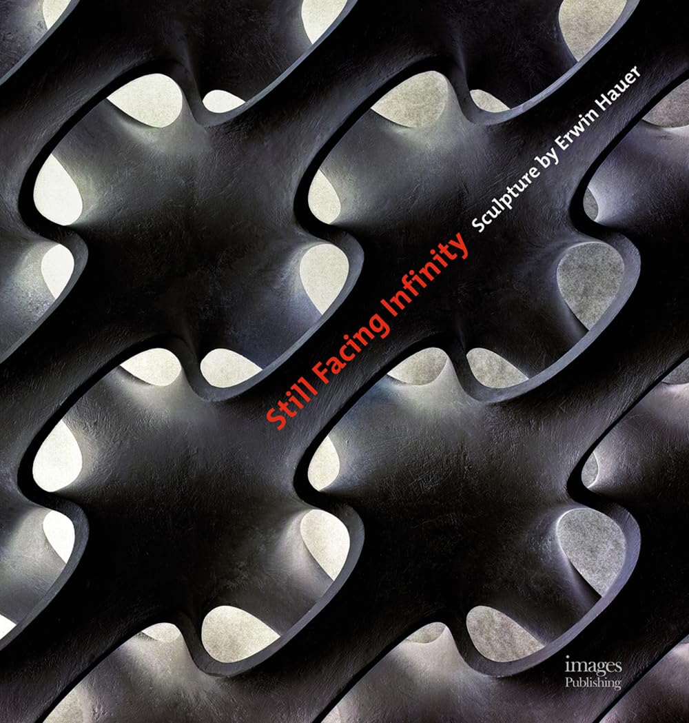 Still Facing Infinity: Sculpture by Erwin Hauer,Used
