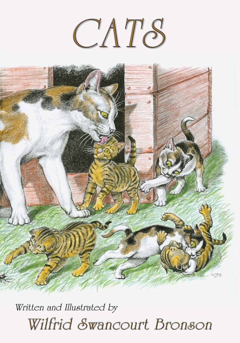 Cats,New