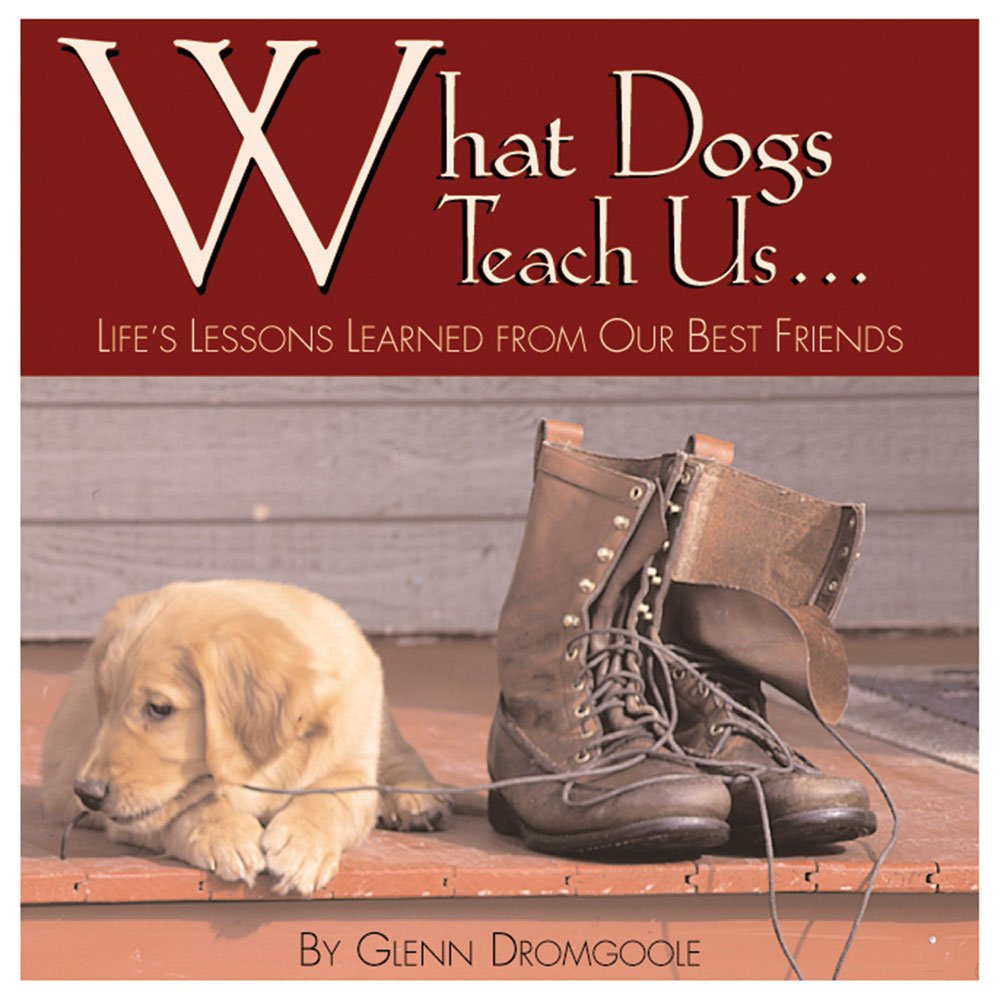 What Dogs Teach Us: Life'S Lessons Learned From Our Best Friends,Used