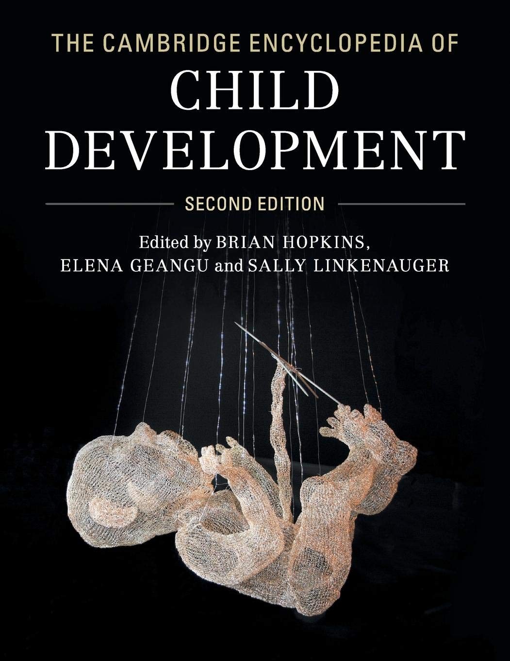 The Cambridge Encyclopedia of Child Development,Used
