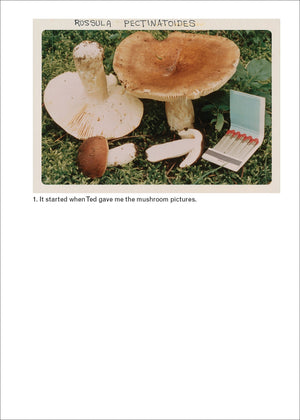 Jason Fulford: The Mushroom Collector,Used