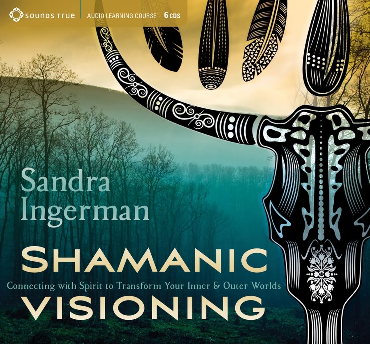 Shamanic Visioning: Connecting with Spirit to Transform Your Inner and Outer Worlds Audio CD  Audiobook, CD, Unabridged Set of ,Used