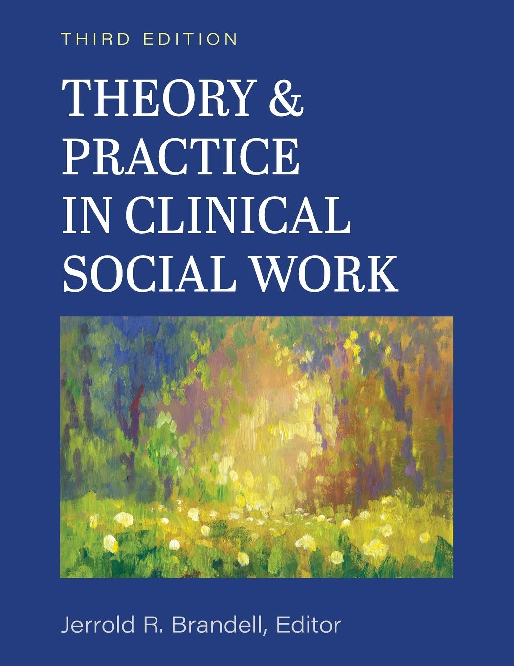 Theory and Practice in Clinical Social Work,Used