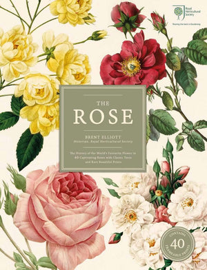 The Rose: The History of the Worlds Favourite Flower in 40 Captivating Roses with Classic Texts and Rare Beautiful Prints'In Sli,Used
