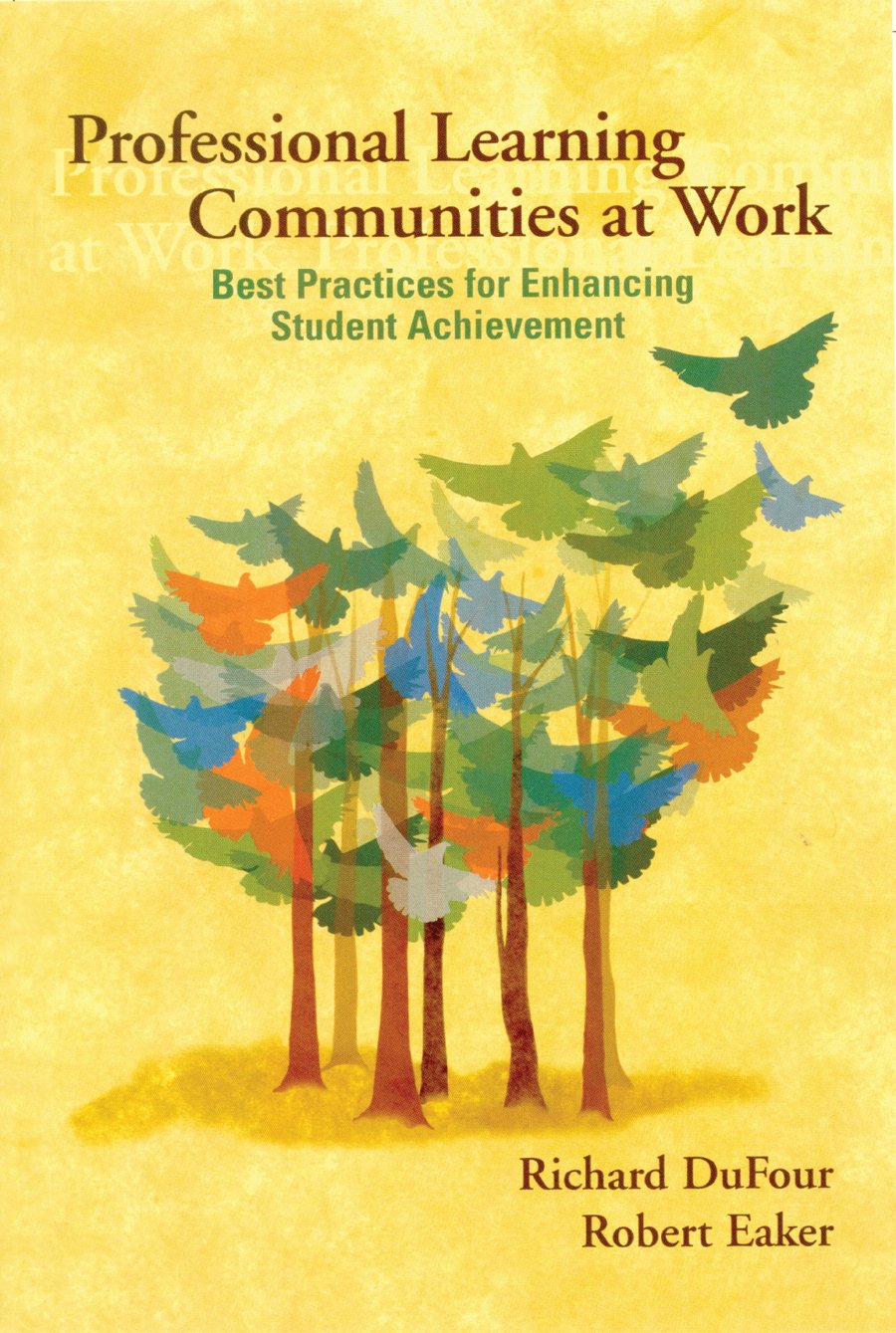 Professional Learning Communities at Work: Best Practices for Enhancing Student Achievement,Used