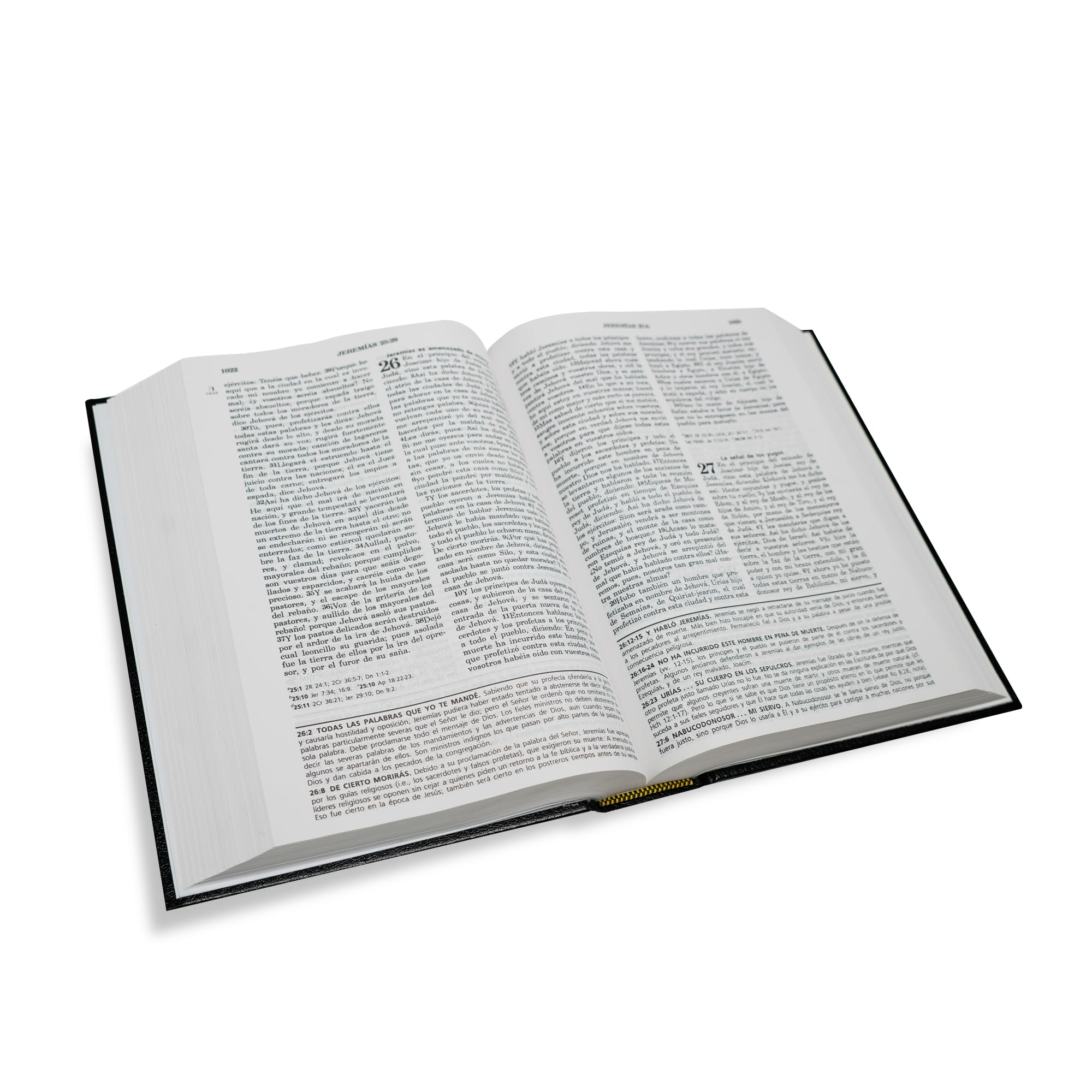 RVR60, Biblia de Estudio de la vida plena, Tapa Dura, Negro (Spanish Edition),Used