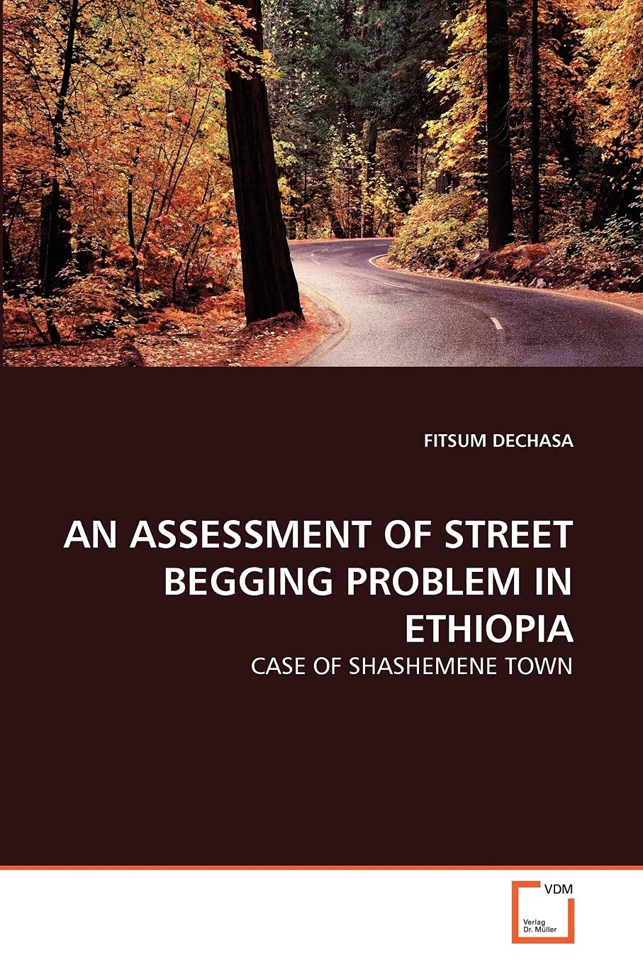 AN ASSESSMENT OF STREET BEGGING PROBLEM IN ETHIOPIA: CASE OF SHASHEMENE TOWN,Used