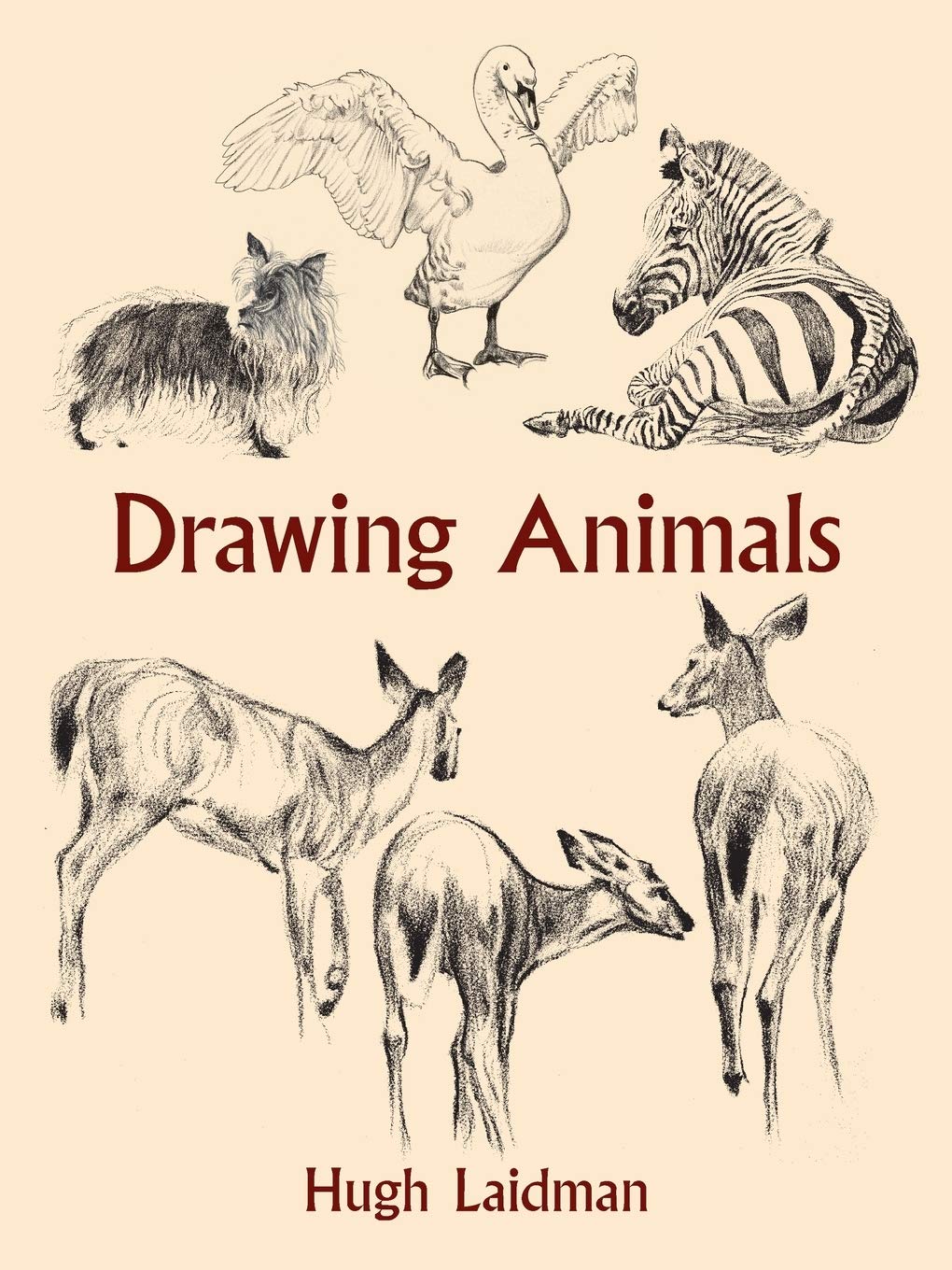 Drawing Animals (Dover Art Instruction),New