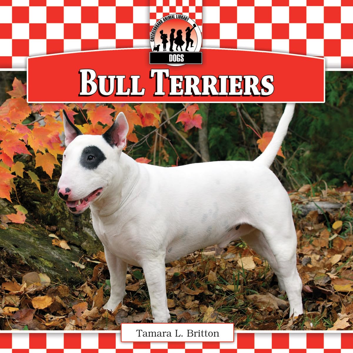 Bull Terriers (Dogs, 10),Used
