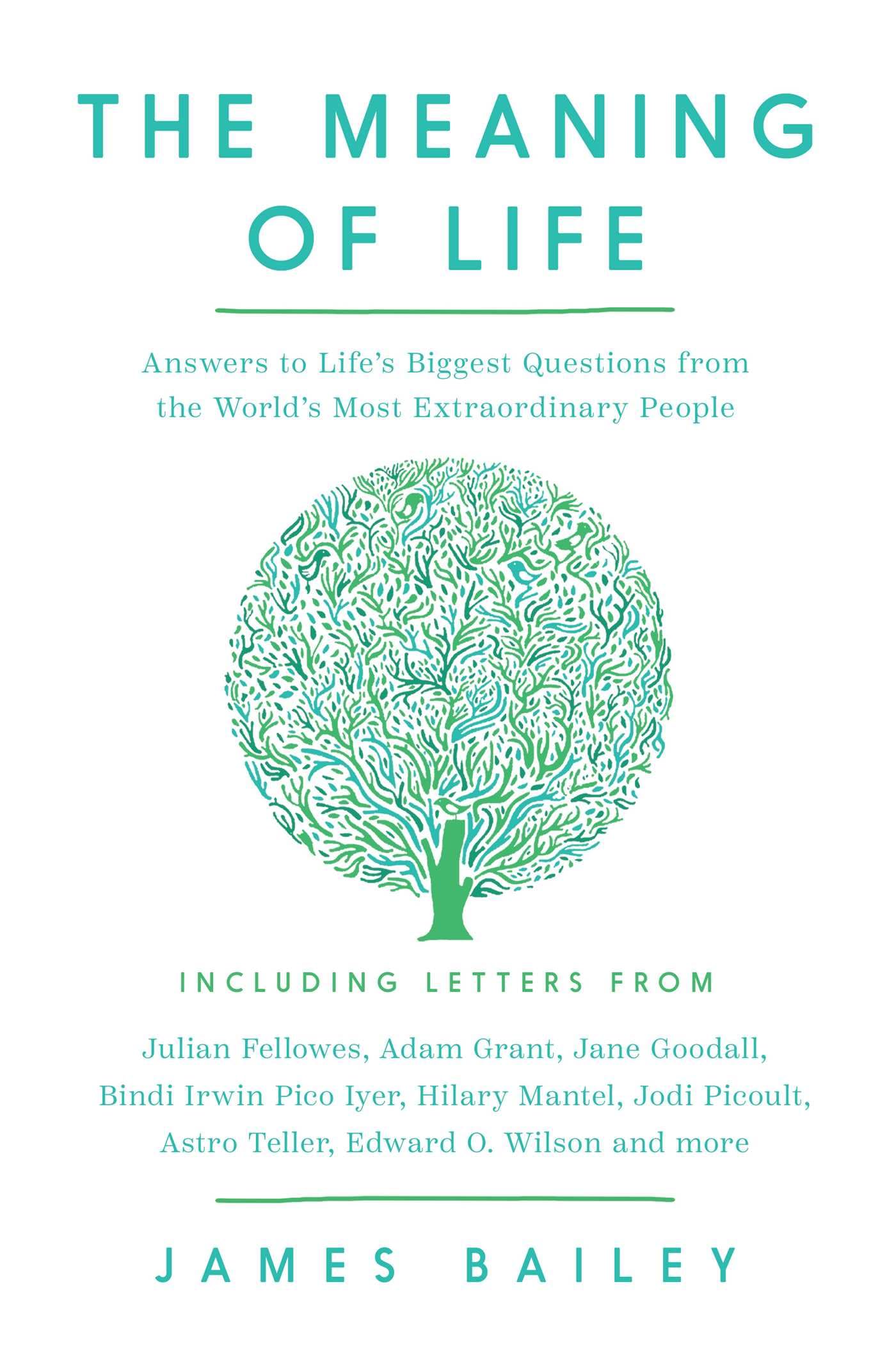 The Meaning Of Life: Answers To LifeS Biggest Questions From The WorldS Most Extraordinary People