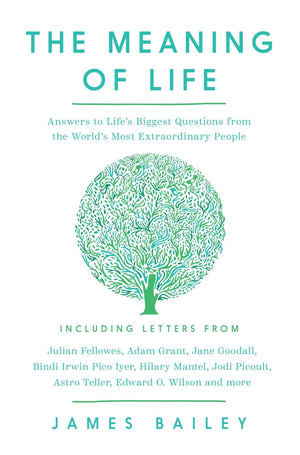 The Meaning Of Life: Answers To LifeS Biggest Questions From The WorldS Most Extraordinary People