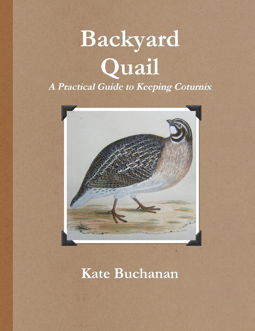 Backyard Quail,Used