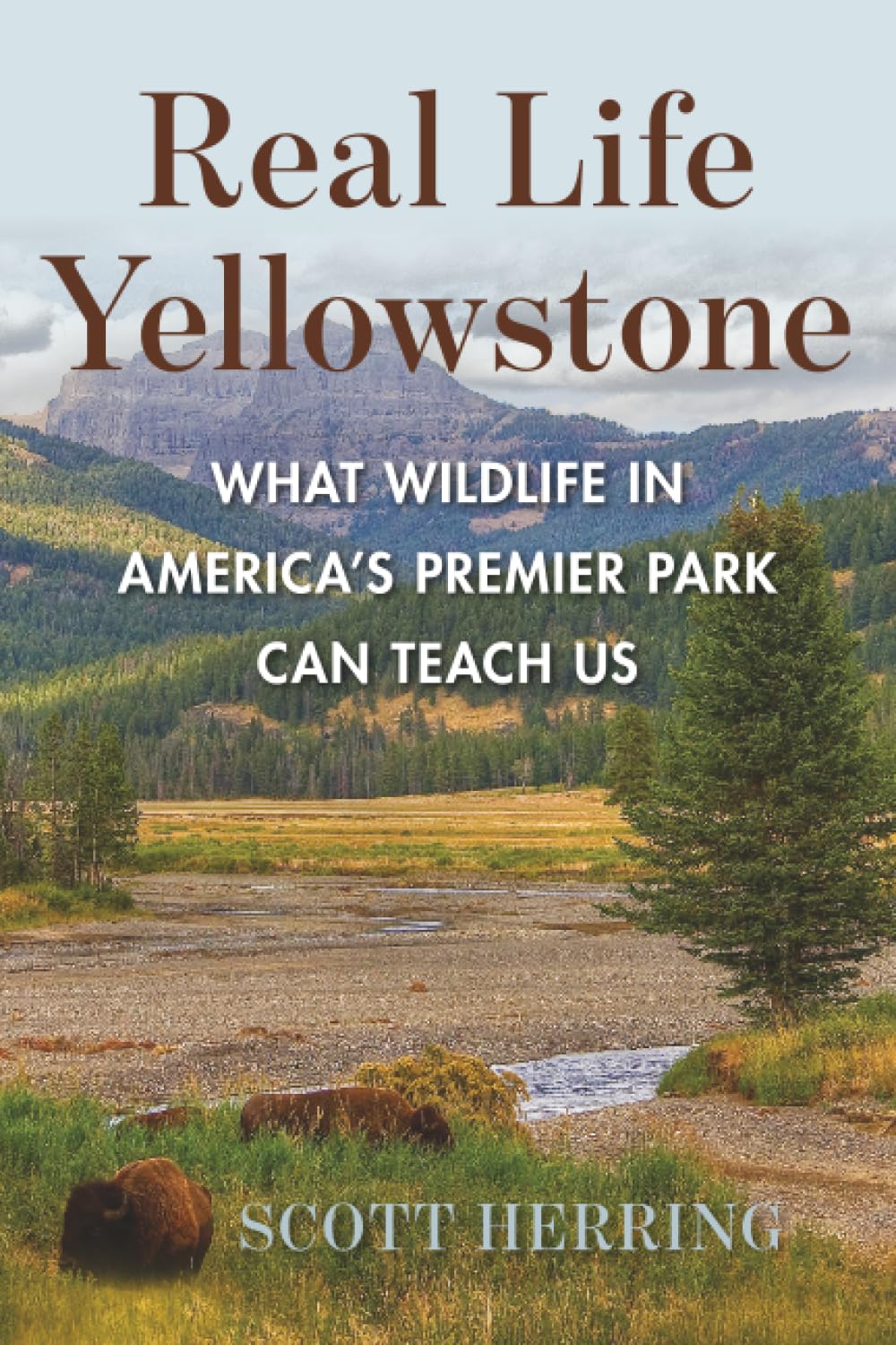Real Life Yellowstone