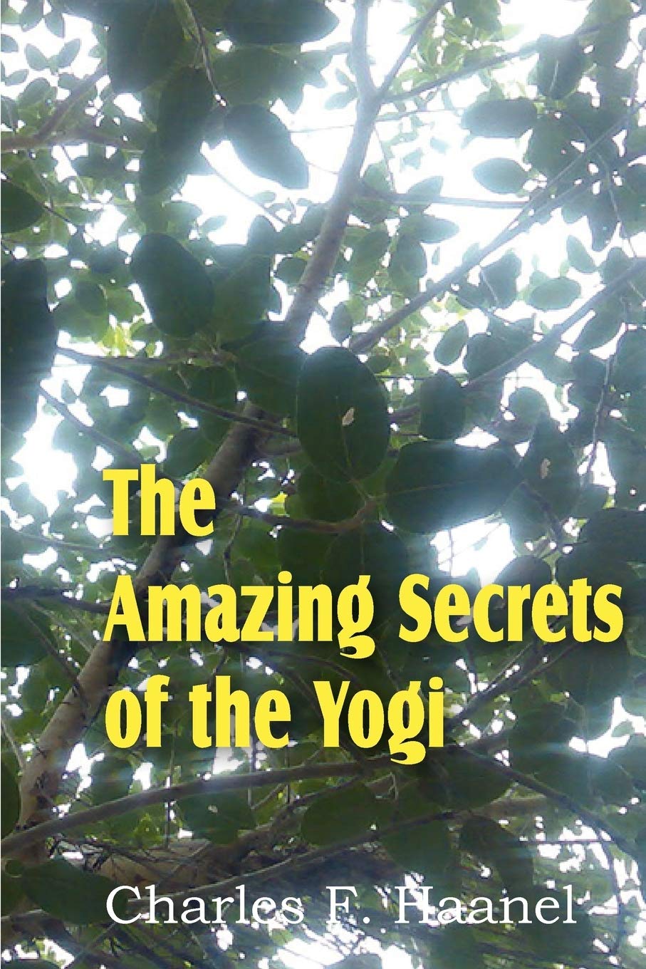 The Amazing Secrets Of The Yogi,Used