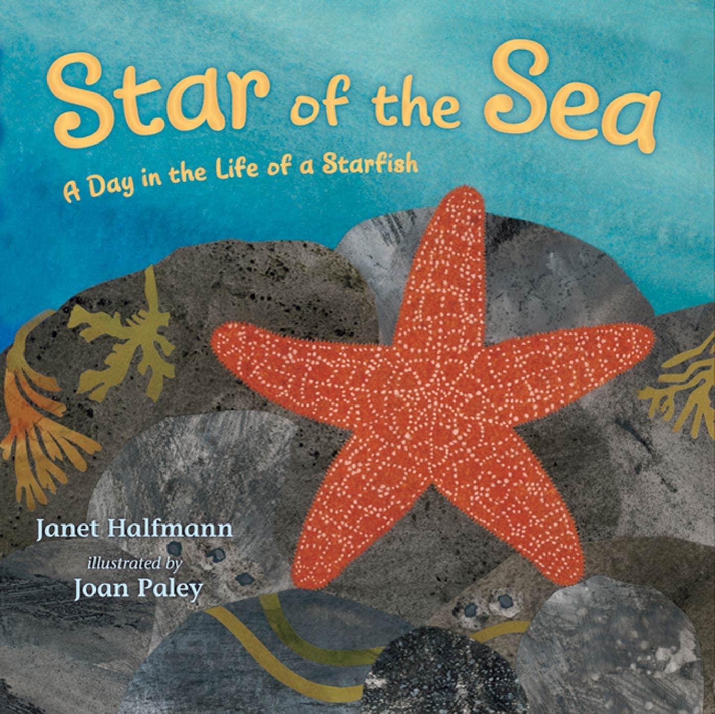 Star Of The Sea: A Day In The Life Of A Starfish,New