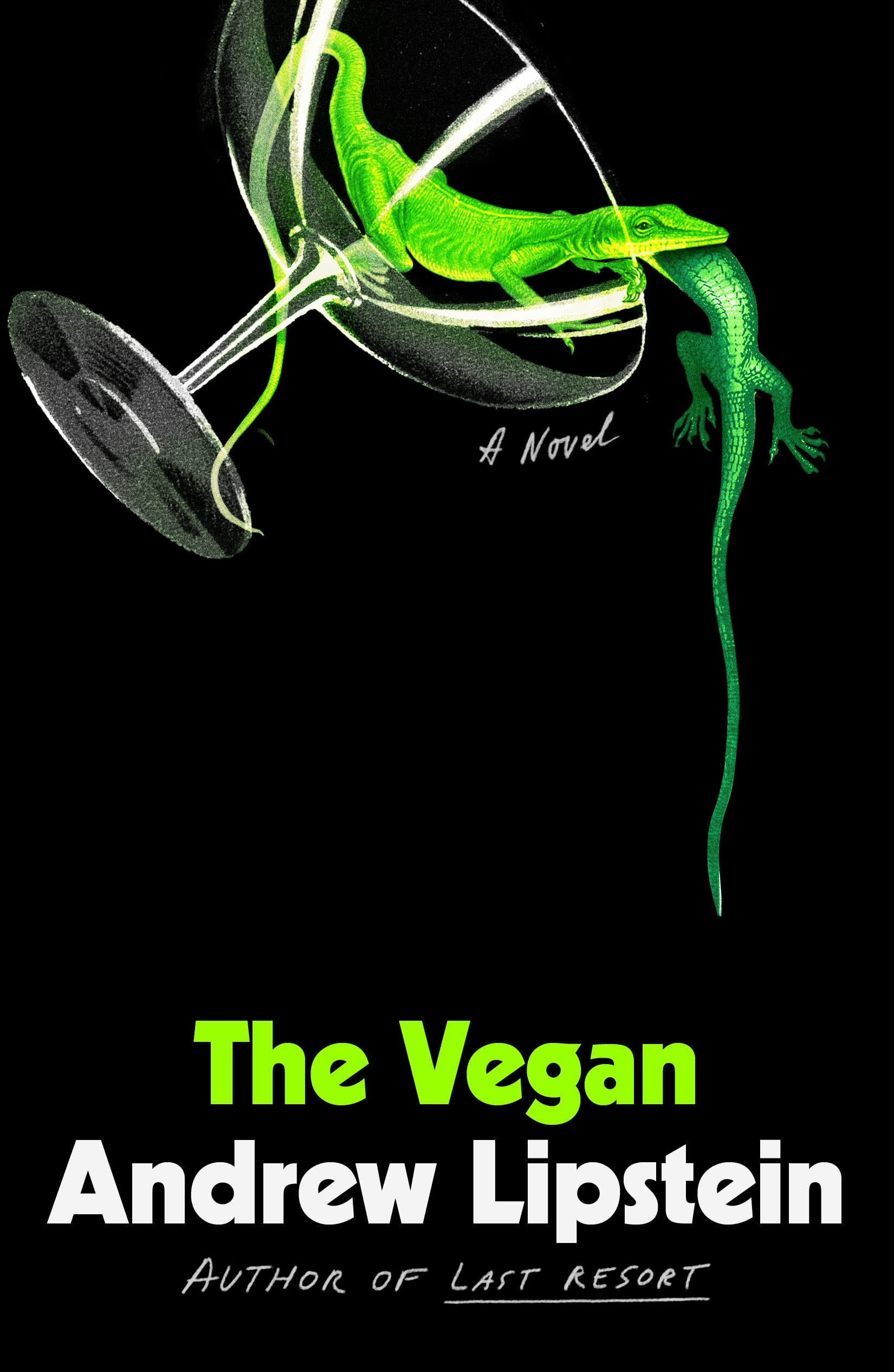 The Vegan: A Novel,Used