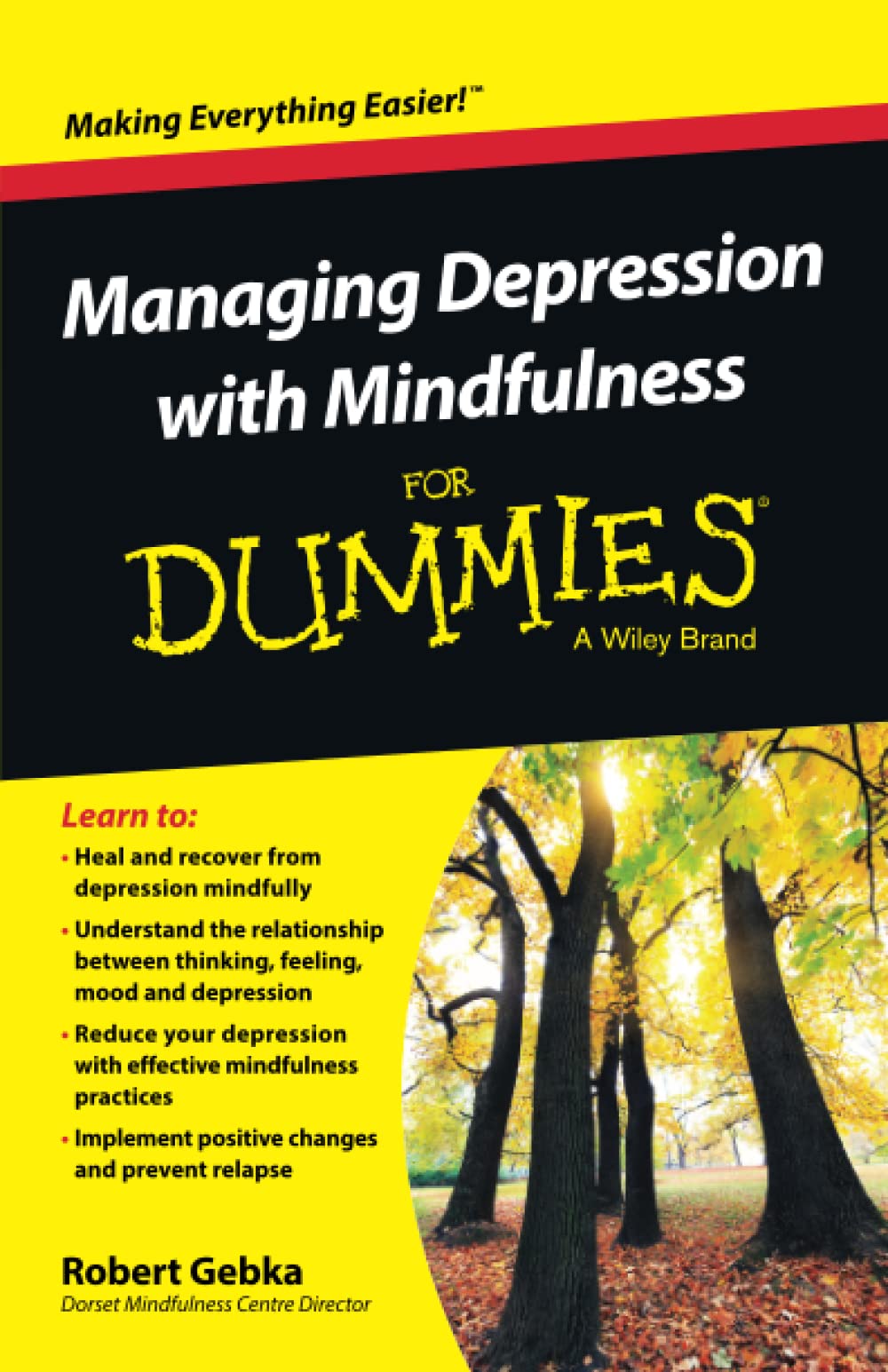 Managing Depression with Mindfulness For Dummies,Used