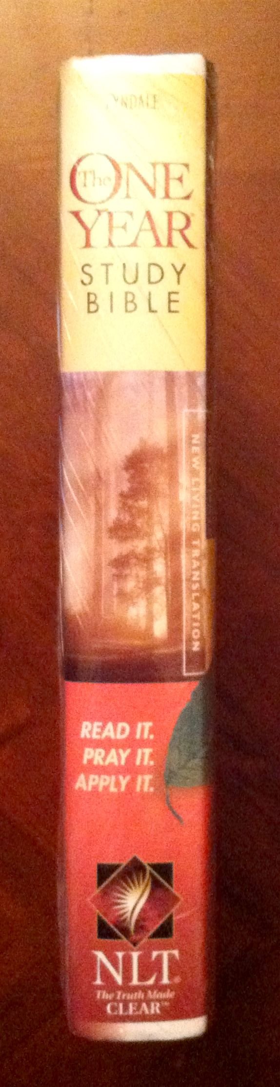 The One Year Study Bible NLT,Used