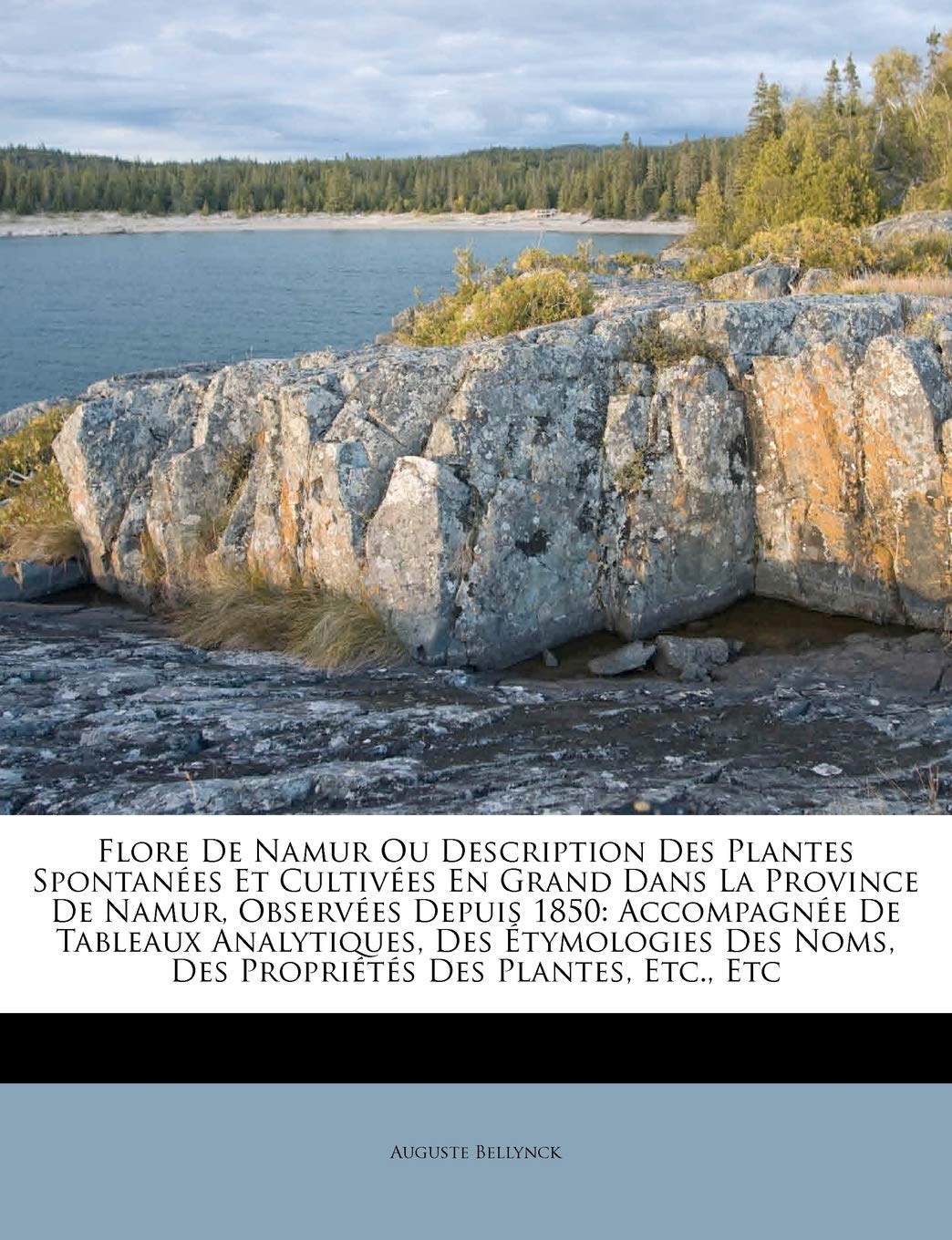 Flore de Namur Ou Description Des Plantes Spontanes Et Cultives En Grand Dans La Province de Namur, Observes Depuis 1850: ,New