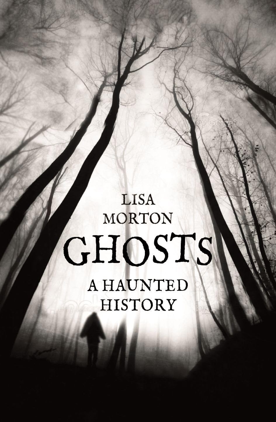 Ghosts: A Haunted History,Used