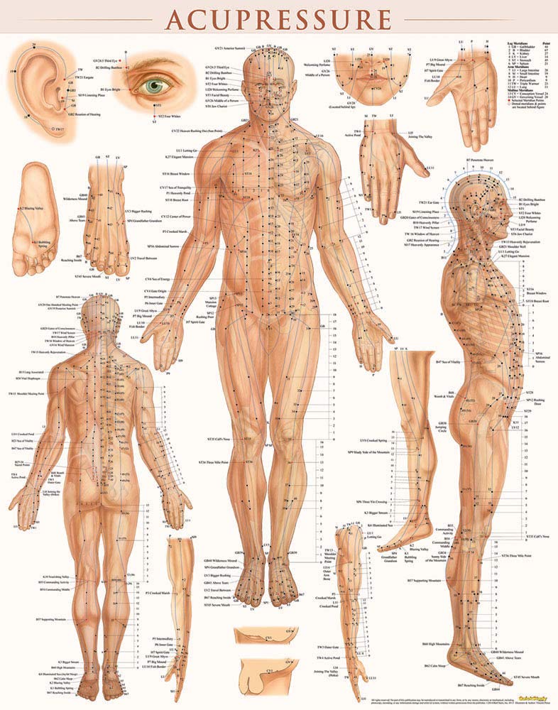 Acupressure Poster (22 X 28 Inches)  Laminated: Anatomy Of Points For Acupressure & Acupunture