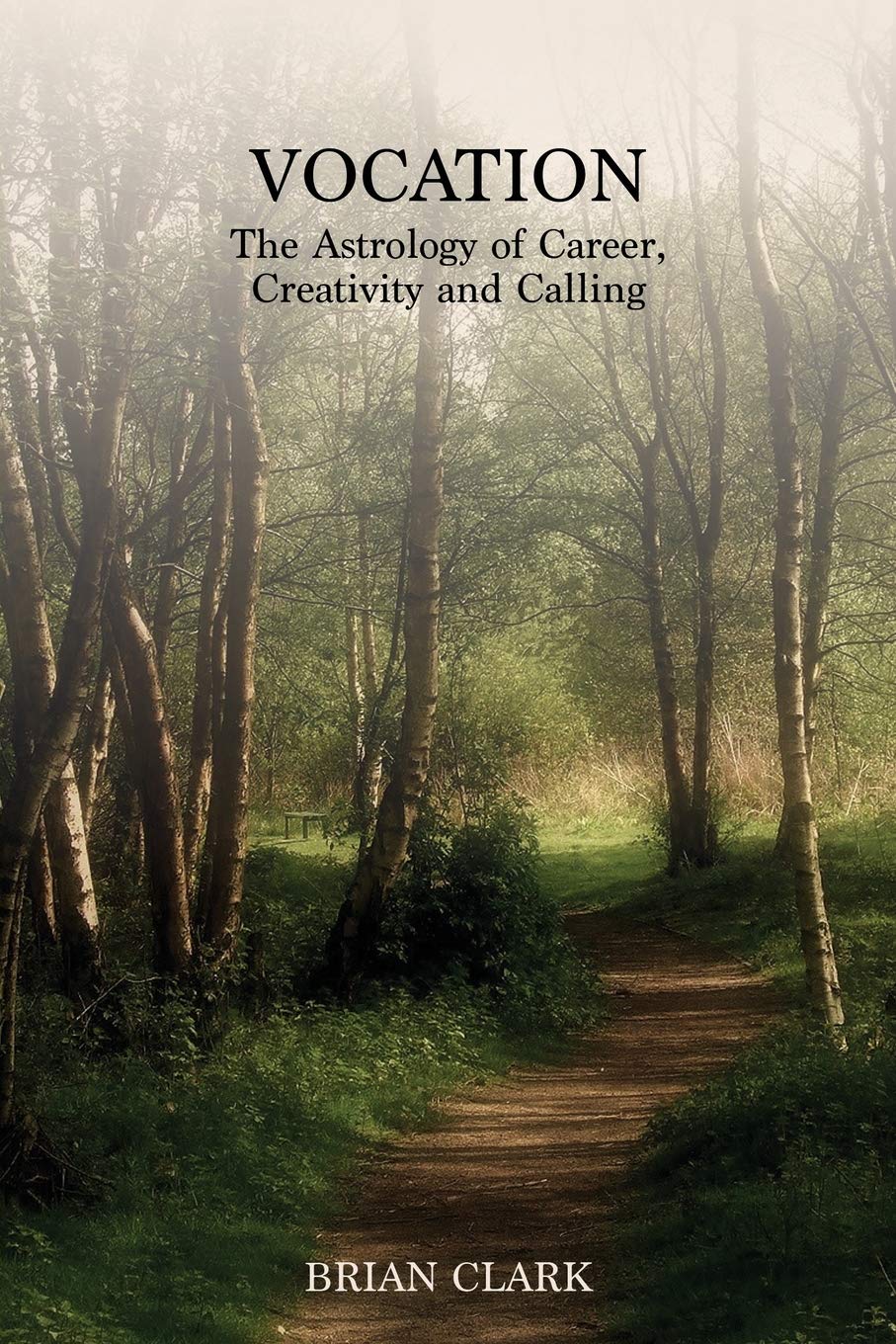 Vocation: The Astrology of Career, Creativity and Calling,Used