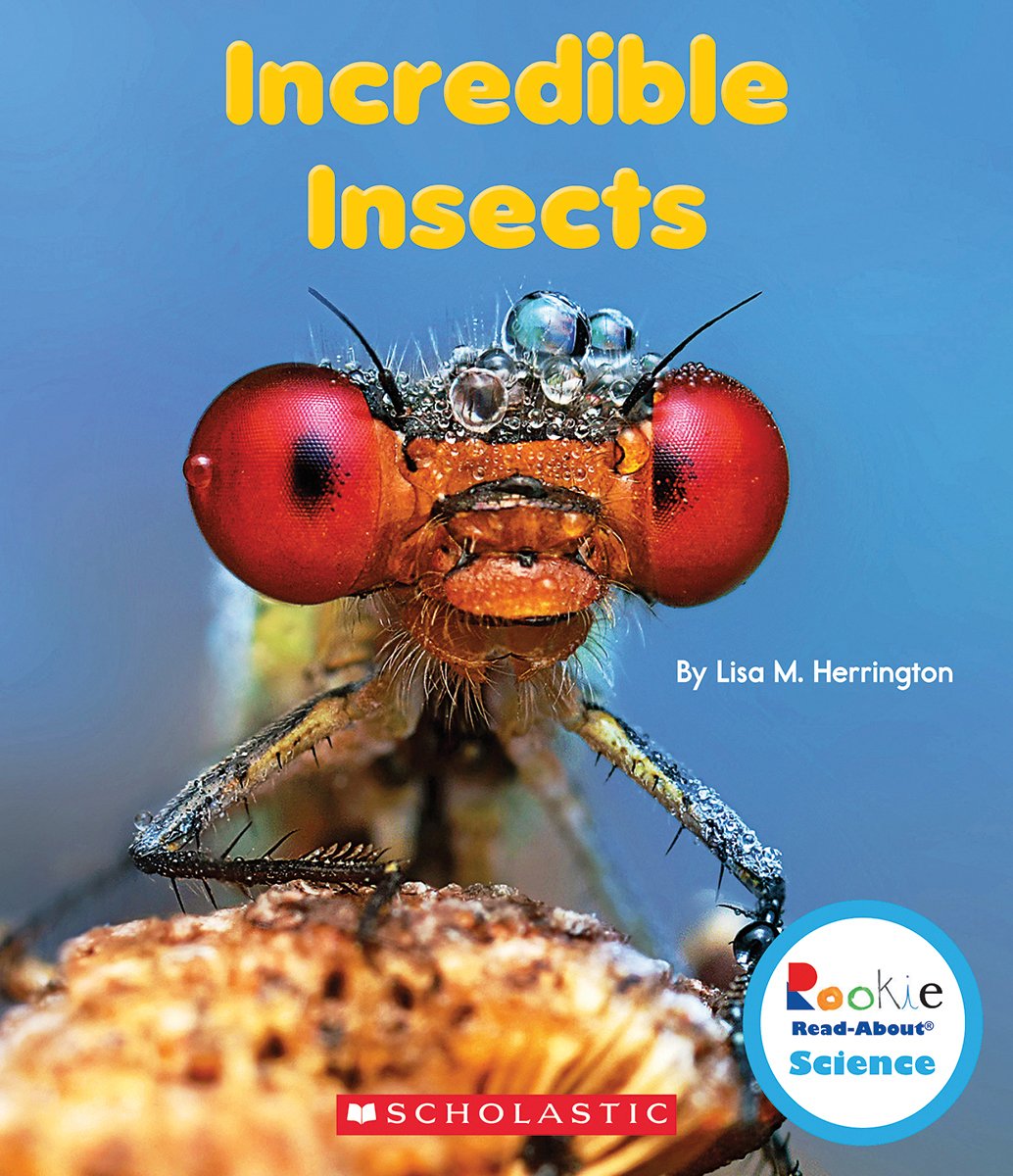 Incredible Insects (Rookie ReadAbout Science: Strange Animals),Used