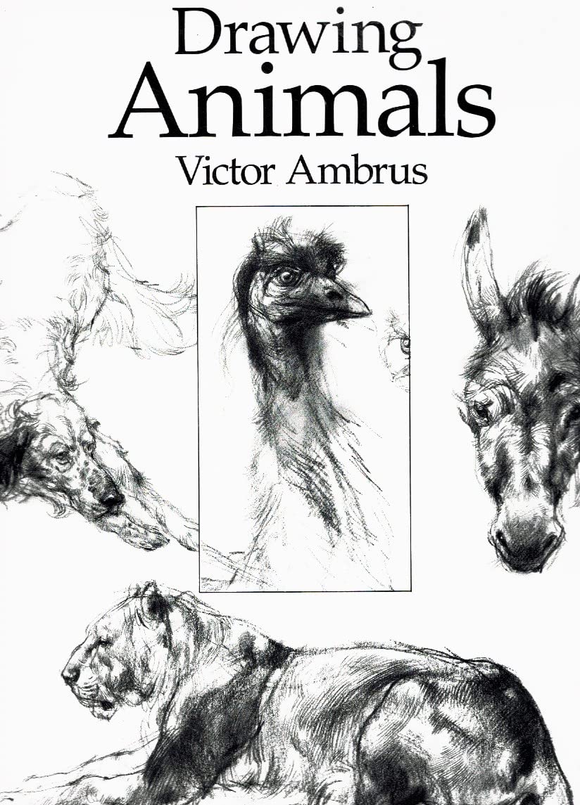 Drawing Animals