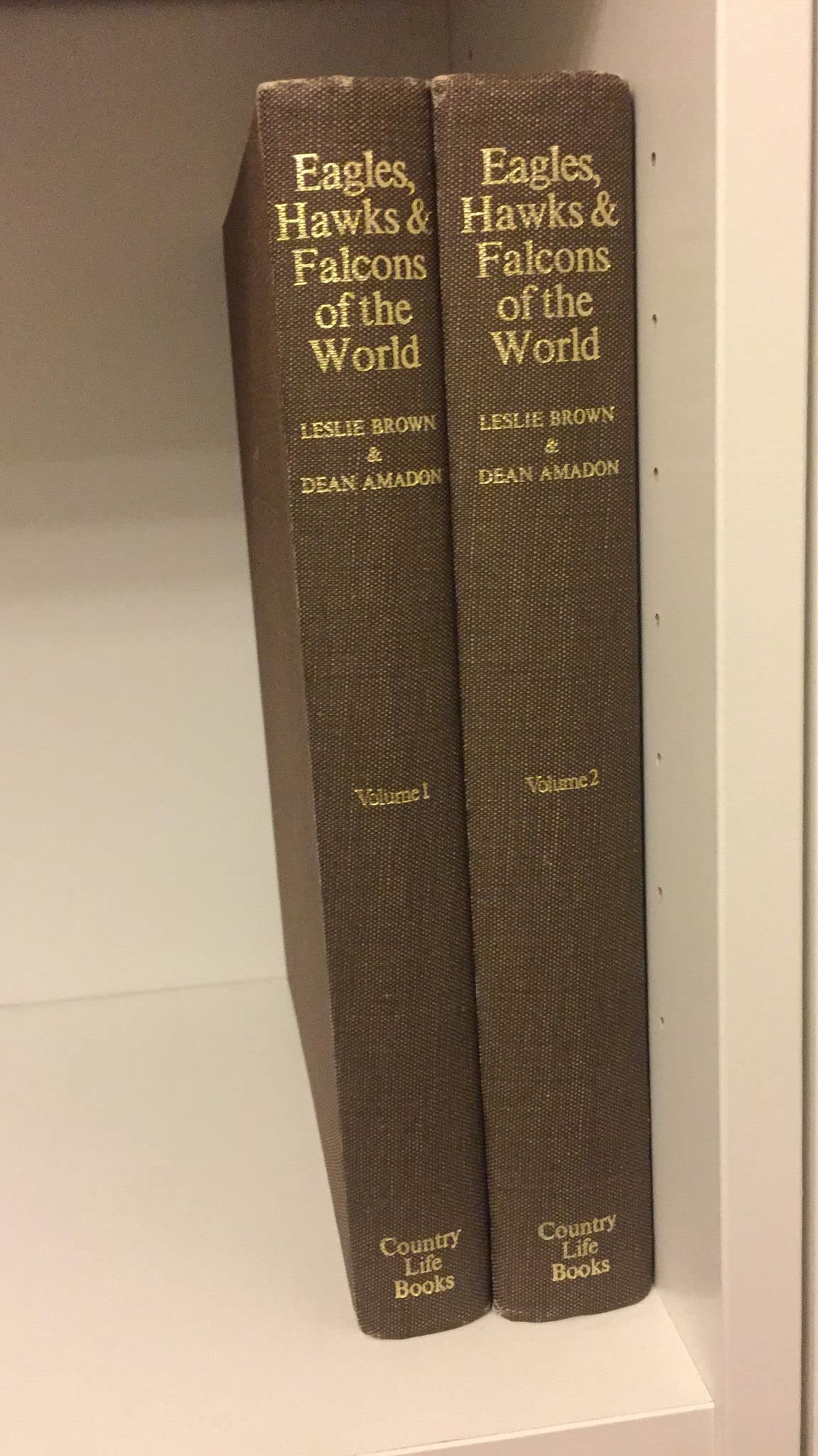 Eagles, Hawks and Falcons of the World,Used