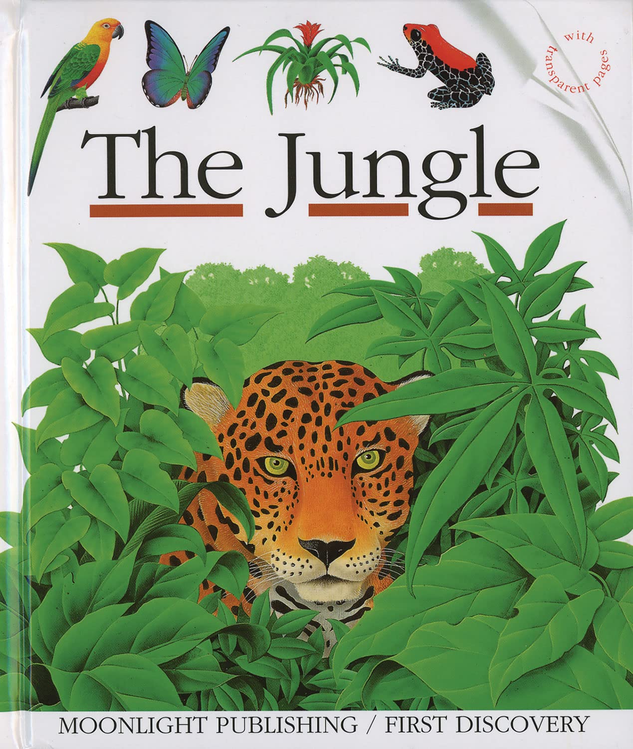 The Jungle (First Discovery S.),Used