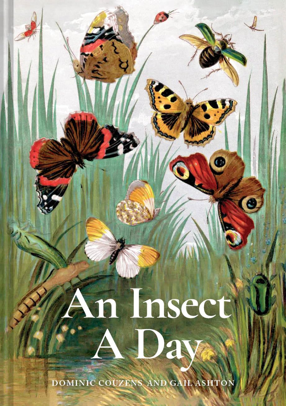 An Insect a Day,New