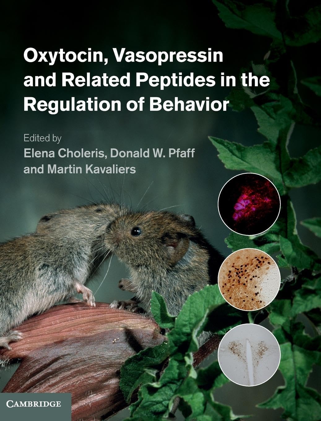 Oxytocin, Vasopressin and Related Peptides in the Regulation of Behavior,Used