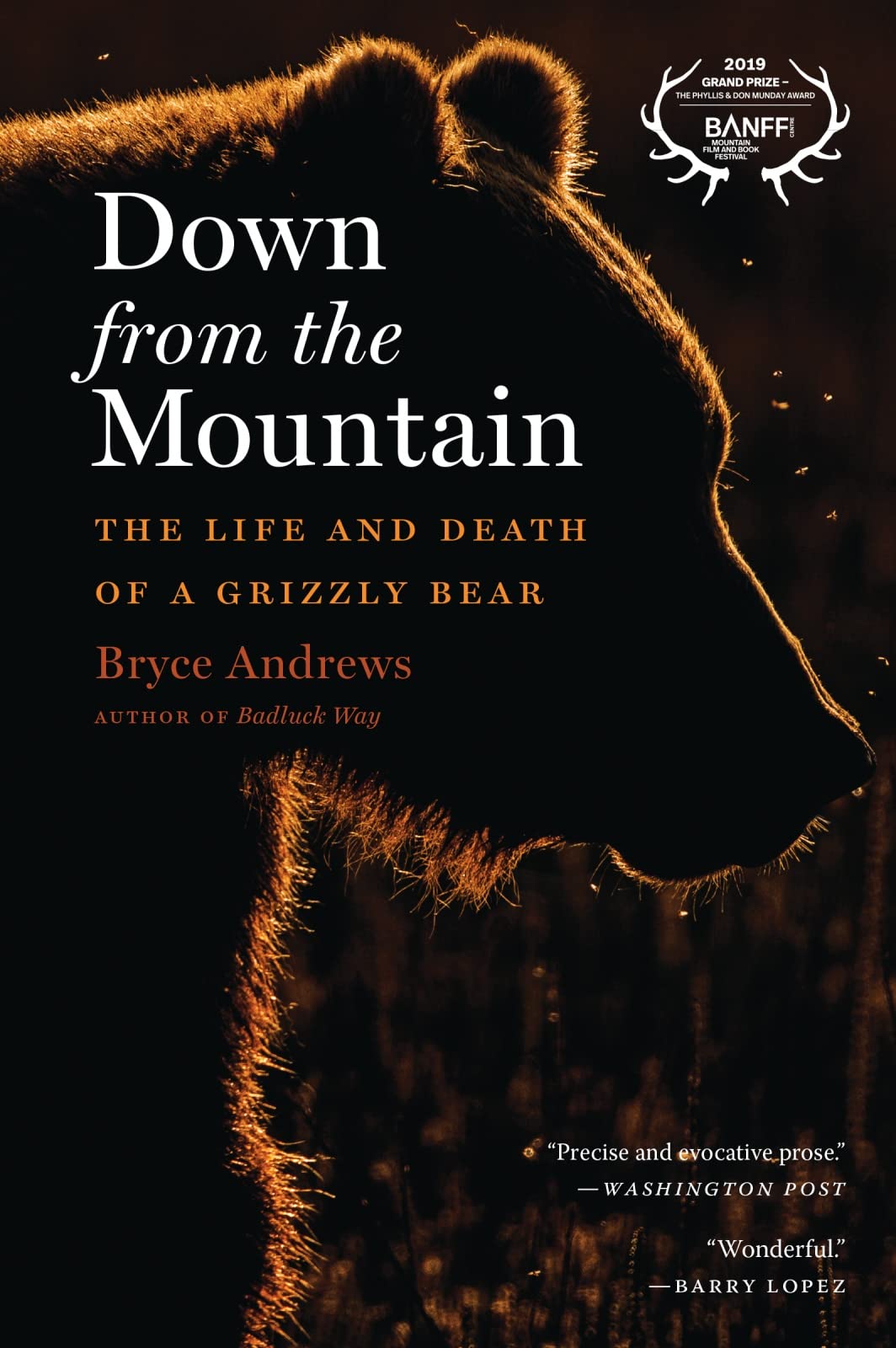 Down From The Mountain: The Life and Death of a Grizzly Bear,Used