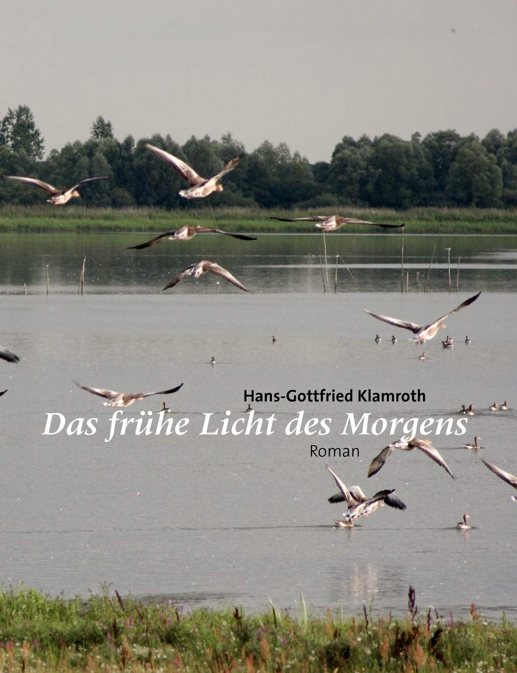 Das frhe Licht des Morgens (German Edition),Used