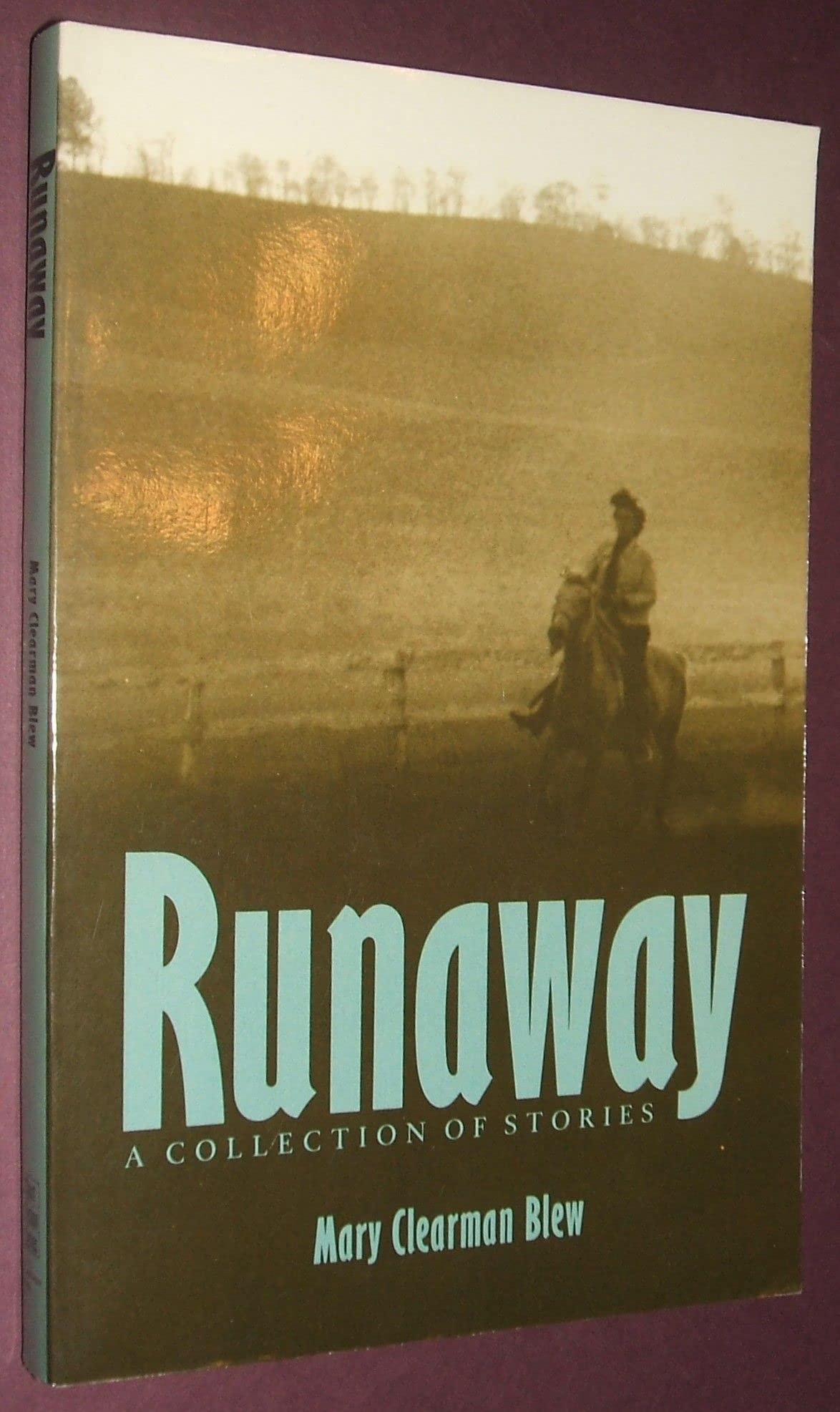 Runaway: A Collection of Stories,Used
