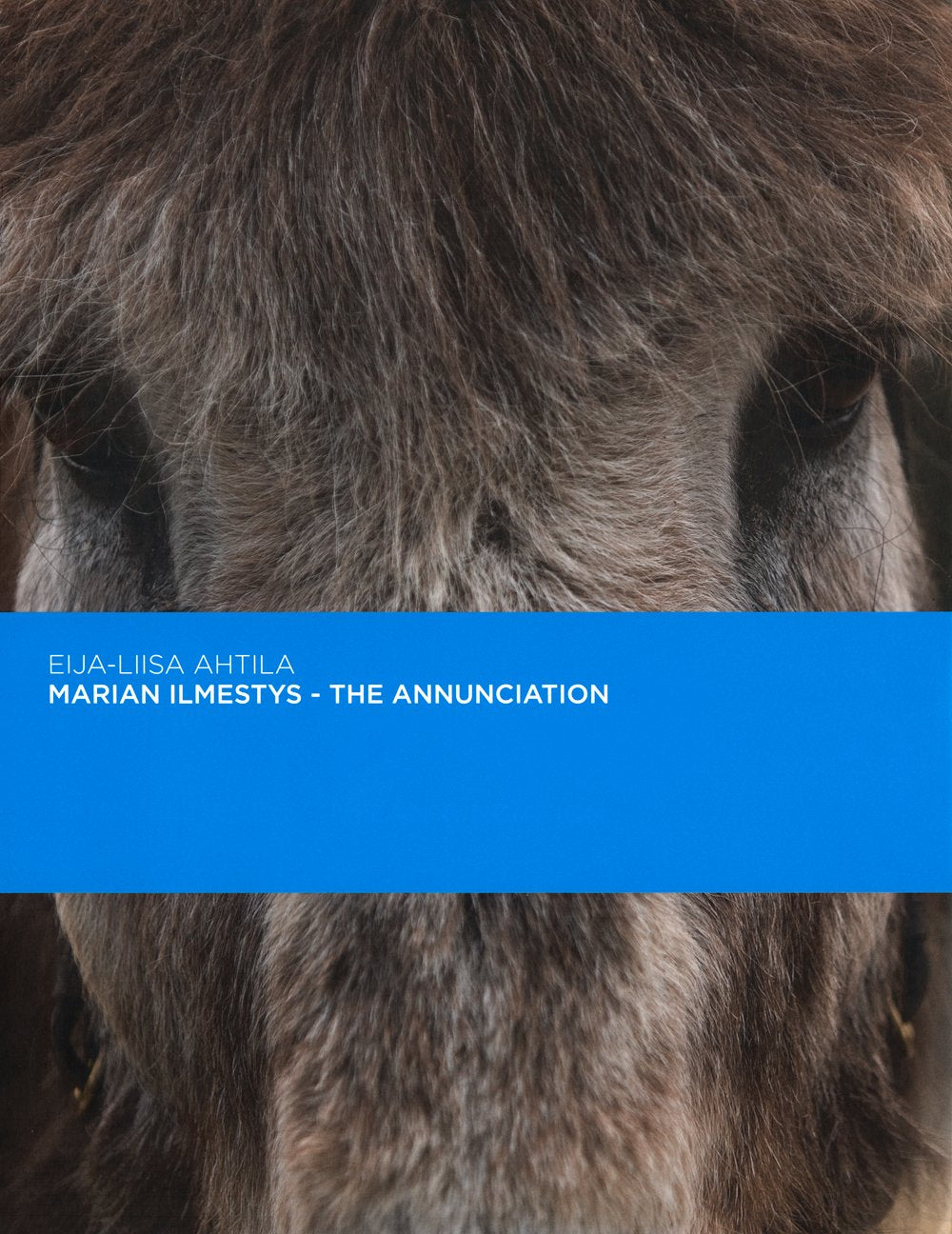 EijaLiisa Ahtila: The Annunciation: Marian Ilmestys,Used