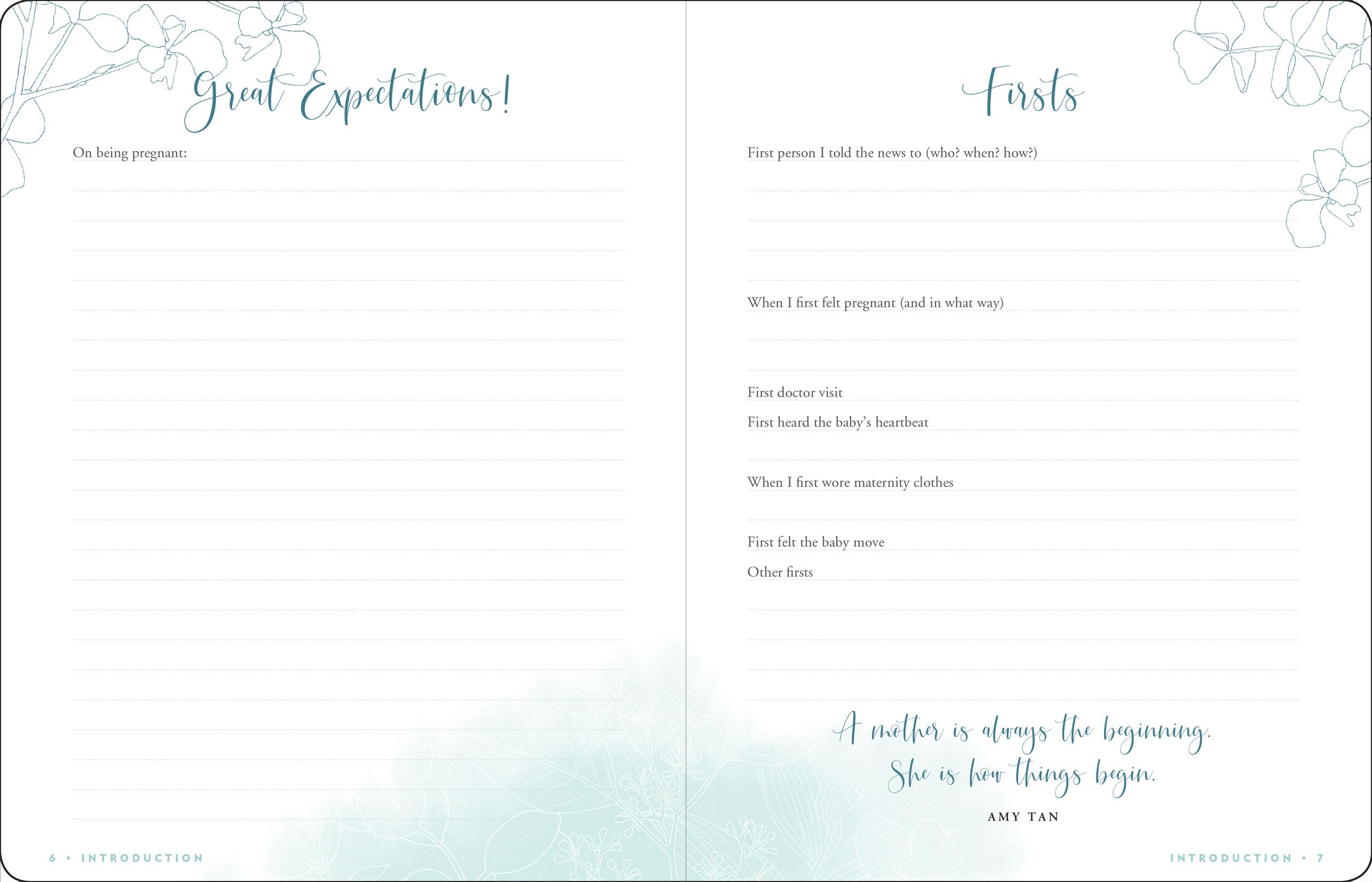 Pregnancy Journal: A WeekByWeek Guide to a Happy, Healthy Pregnancy (Deluxe, Clothbound 3rd edition),Used