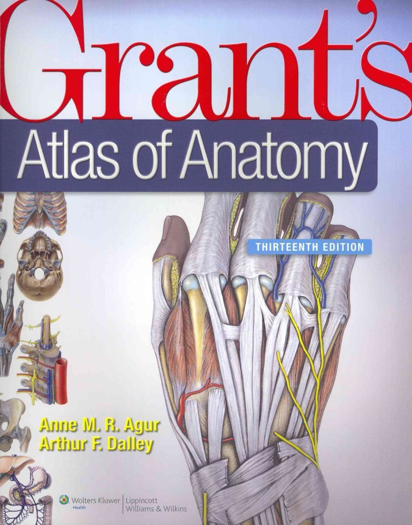 Grant's Atlas of Anatomy, 13th Edition,Used