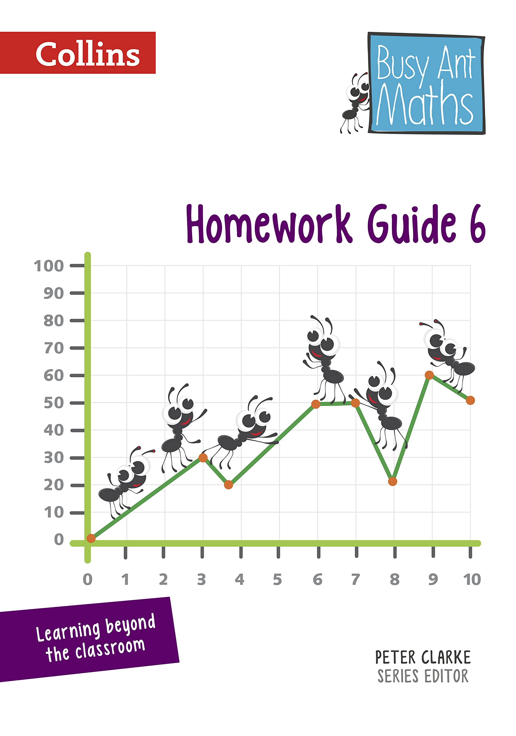 Busy Ant Maths  Homework Guide 6,Used