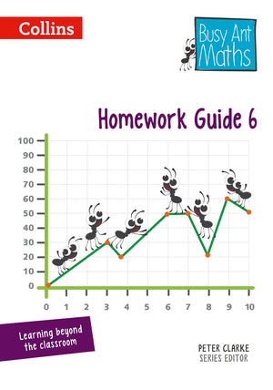 Busy Ant Maths  Homework Guide 6,Used
